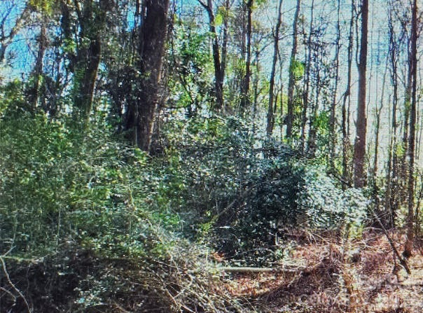 S Rollins Drive, Kershaw, SC 29067