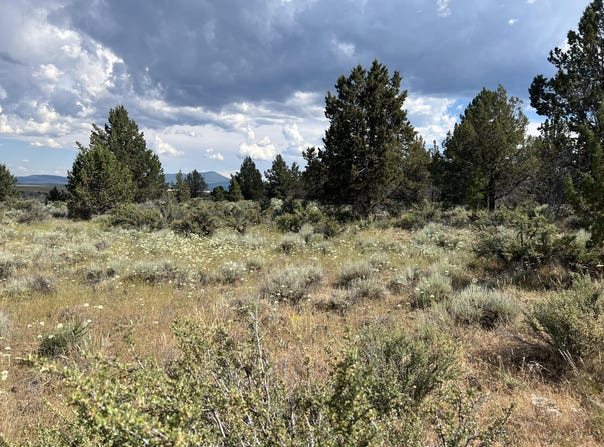 Tableland Road, Sprague River, OR 97639