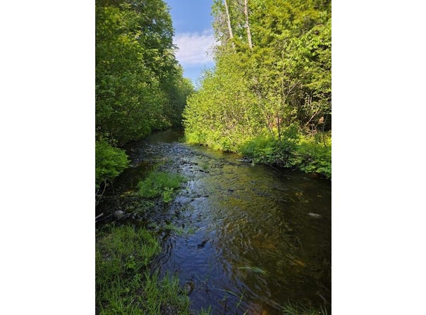 Davis Brook Road lot: 10, Amity, ME 04471
