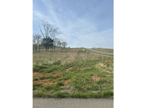 Springsteen Cir lot: 26, Hardy, VA 24101