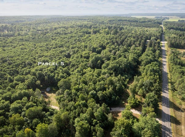 11241 Marilla Road, Copemish, MI 49625