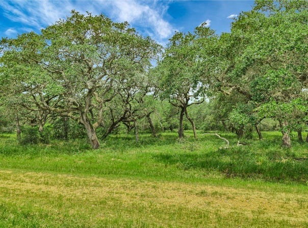 Fm 444, Inez, TX 77968