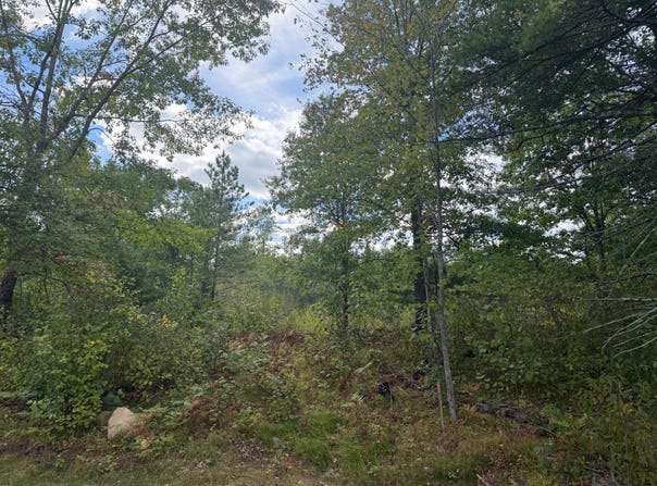CATOR DR lot: 9, Minocqua, WI 54548