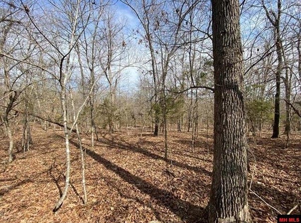 LAKEPOINTE DRIVE lot: 4, Clarkridge, AR 72623