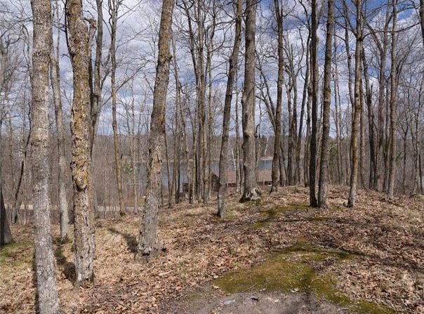 Tbd TBD, Little Elbow Twp, MN 56566