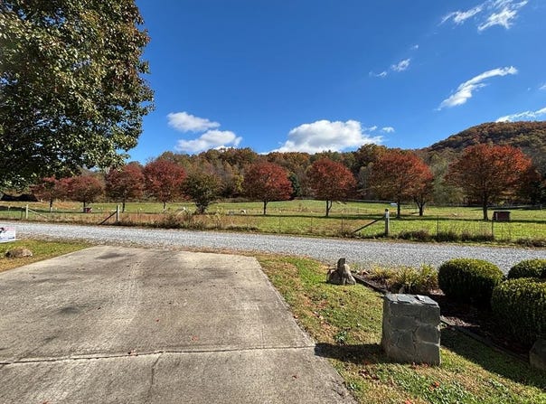 50 Timber Leaf Dr #9 lot: 9, Sylva, NC 28779