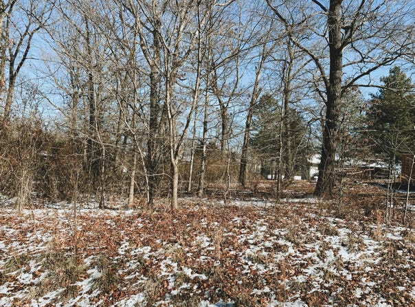 Ginger Lot 9 Drive, West Plains, MO 65775