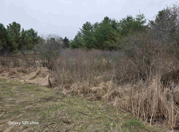 Hockaday Rd lot: 551, Gladwin, MI 48624