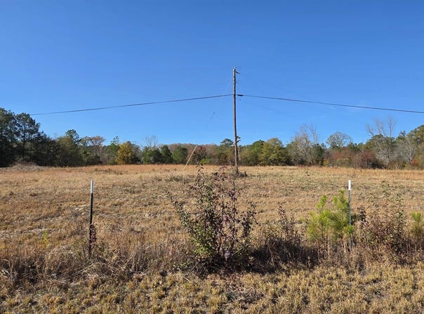 663 GRAHAM DRIVE lot: 3, OHATCHEE, AL 36271