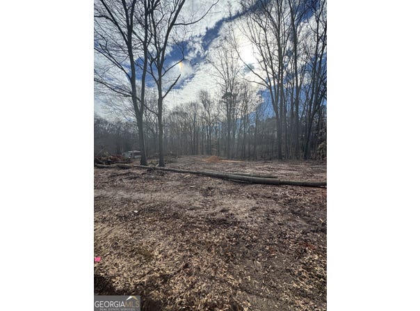 260 Roosevelt Circle, Bowman, GA 30624
