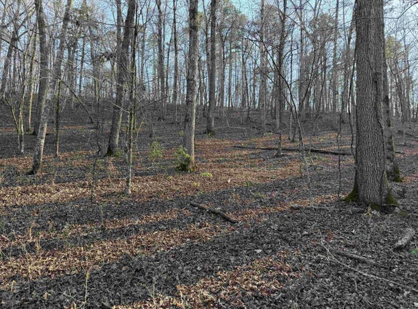 Highway 336 E, Clinton, AR 72031