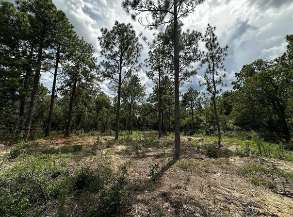 Highway 0041, Box Springs, GA 31801