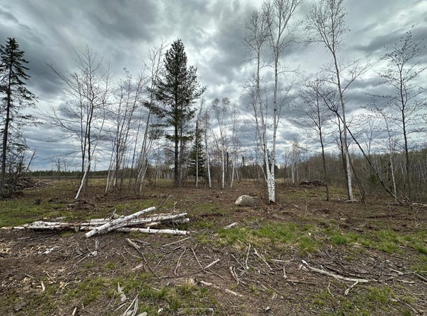 TBD #3 Koecher Road, Kerrick, MN 55756