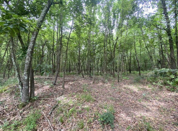 150 CR 3920, Mt Pleasant, TX 75455