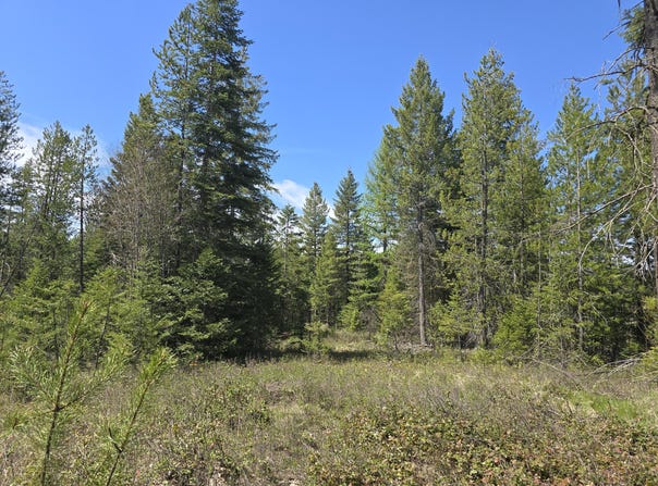 W OREGON Rd, DEER PARK, WA 99006