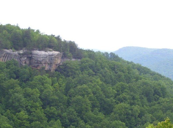 Panther Falls lot: 65, Wilder, TN 38589