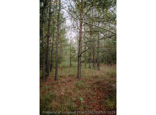 Nighthawk Loop lot: 1-Tbd, Aberdeen, NC 28315