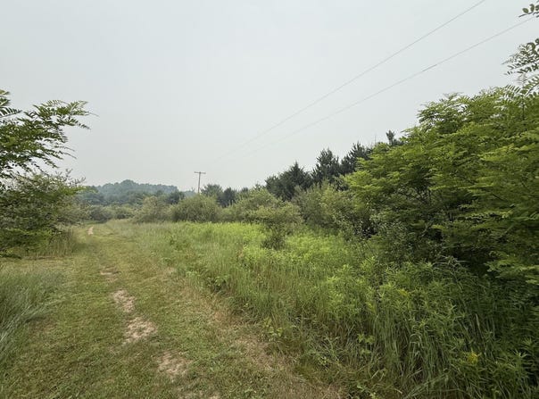 20 Acres E M-30 Highway, Alger, MI 48610