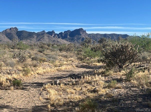 327-06-276 20th Street, Dolan Springs, AZ 86441