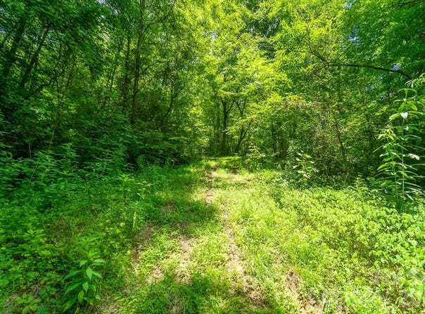 Indian Flats Drive, Sylva, NC 28779