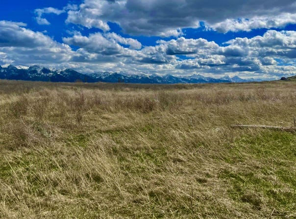 38396 Broken Wheel Road, Polson, MT 59860