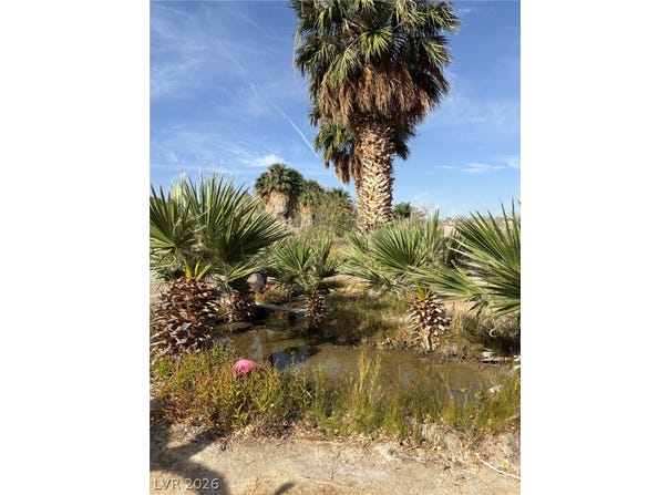 Gold Butte Road, NV 89007