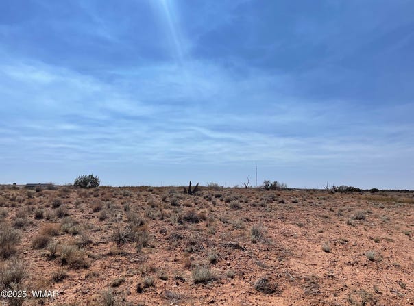 Parcel C Highway 77, Snowflake, AZ 85937