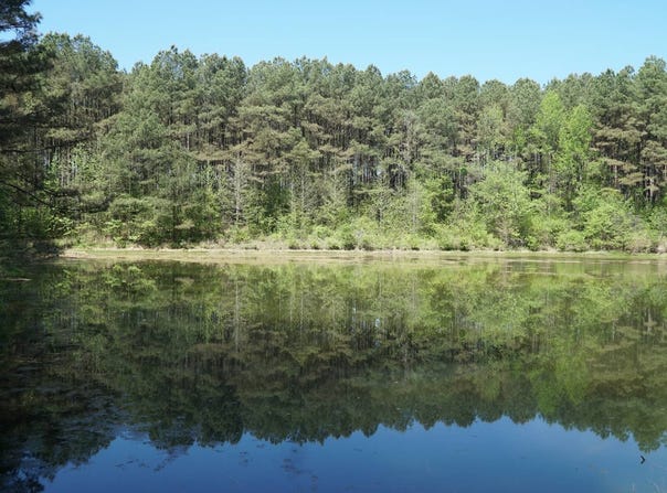 Byler Road, Eldridge, AL 35554