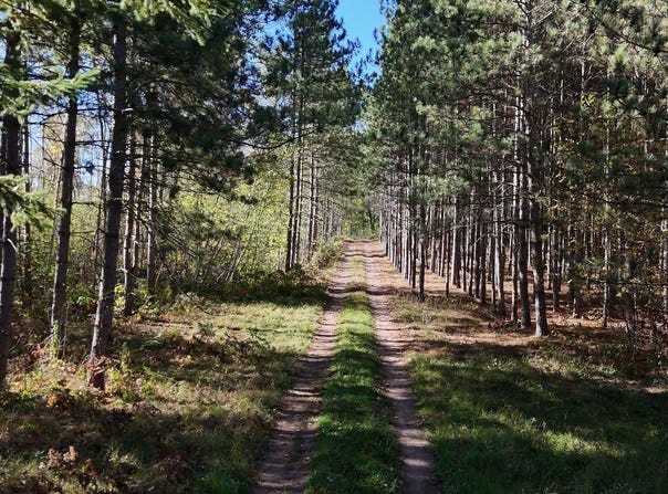 Mann Road, Spooner, WI 54801