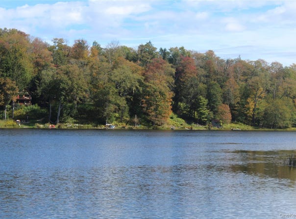 Trout Brook Road, Roscoe, NY 12736