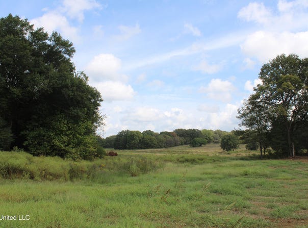 9 Hickory Hollow Road, Hernando, MS 38632