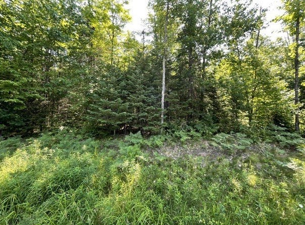 12552 N County Highway T, Hayward, WI 54843