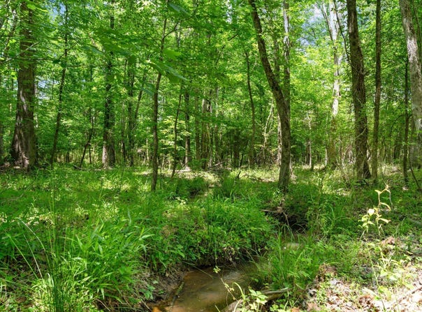 Ashford Ferry Road, Carlisle, SC 29706