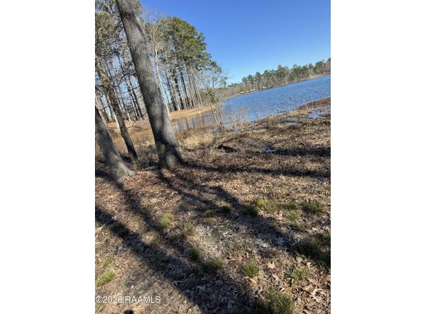 Ramsey Rd lot: 12, Chatham, LA 71226