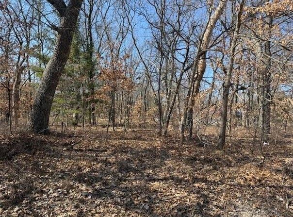 VL S Arrowhead Trail, Baldwin, MI 49304