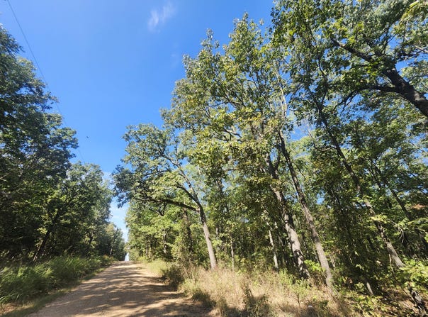 13239 County Road 290, Flemington, MO 65650