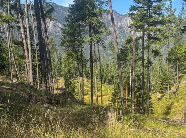 22 Flatiron Way, Thompson Falls, MT 59873