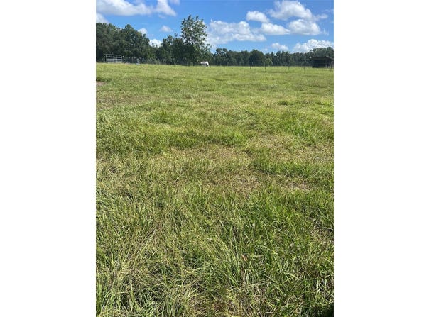 74 LOCUST Run, OCALA, FL 34472