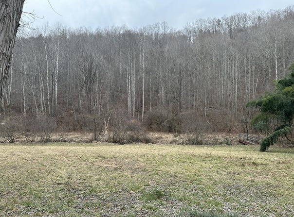3546 Prillaman Switch Rd, Ferrum, VA 24088