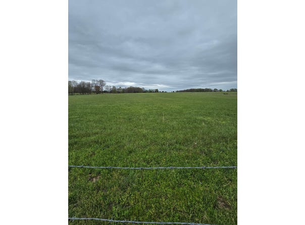 Adams Lane, Rogersville, MO 65742