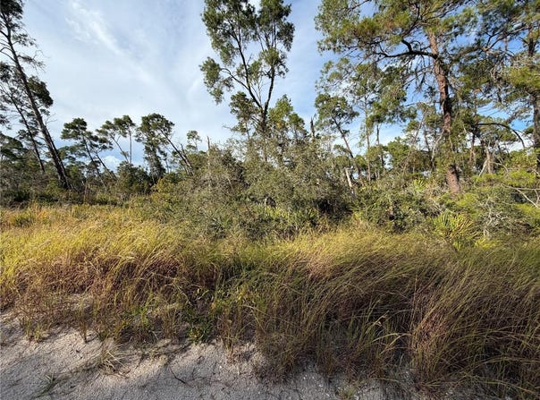 478 DARTER AVENUE, SEBRING, FL 33870
