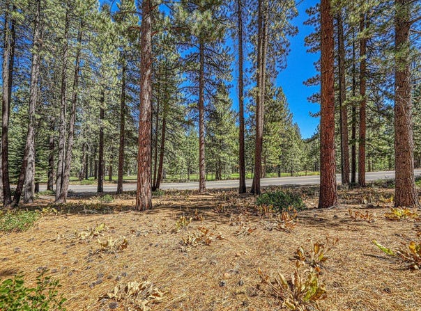 139 Basque, Truckee, CA 96161