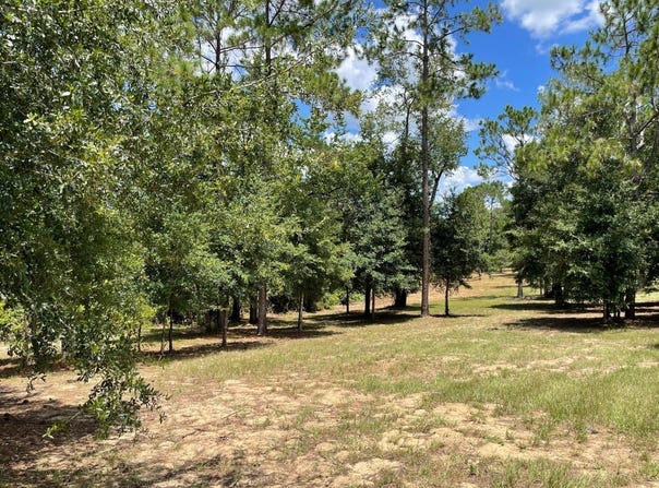 CALHOUN Road, EUSTIS, FL 32726