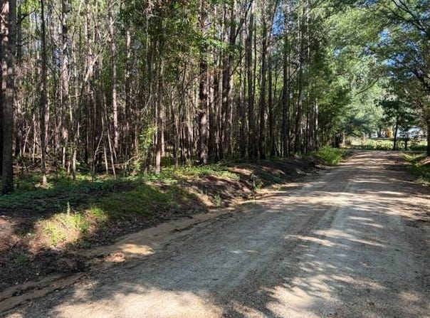 124 Hawkin Rd., Dozier, AL 36028