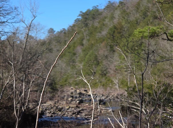 To Be Named, Gillham, AR 71841