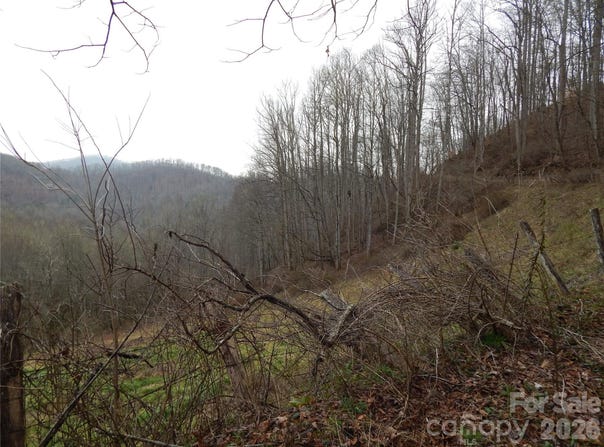 Henry Road, Sylva, NC 28779