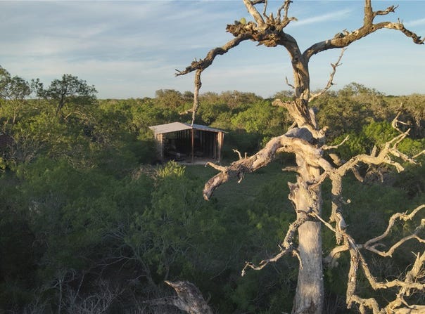 1305 FM 799, George West, TX 78022