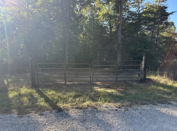 297 Sandy Short Cut, Wilder, TN 38589