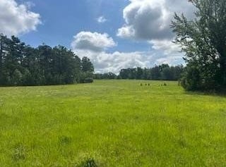 858 Hwy 331, PARIS, MS 38949