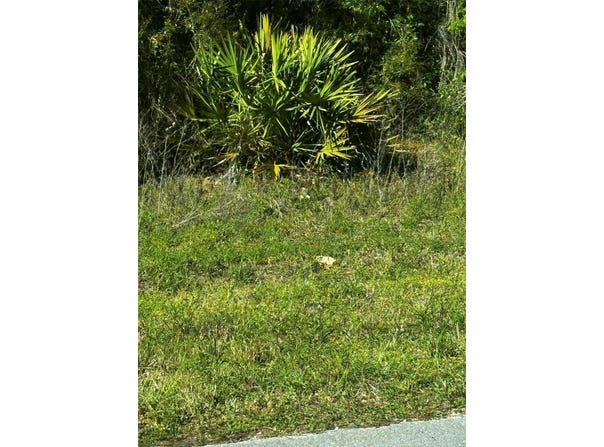 2 SW 24TH Place, OCALA, FL 34481